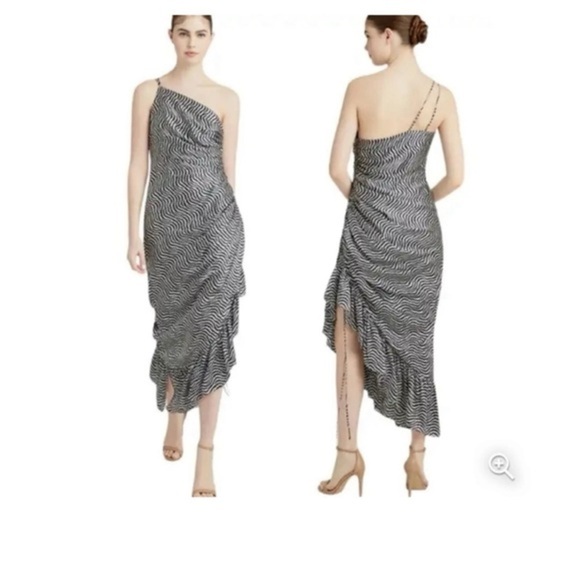 Cinq A Sept Silk Christel Ruched One Shoulder Ruched Silk Zebra Print Dress - Picture 1 of 8